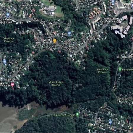 Fernglen B&B Auckland Kültér fotó