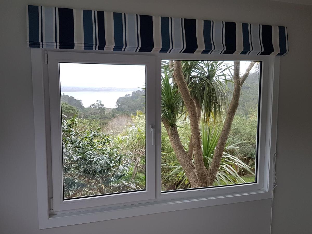 Fernglen B&B Auckland Kültér fotó