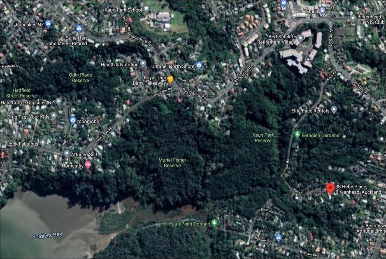 Fernglen B&B Auckland Kültér fotó